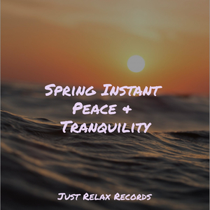 Puzzle of Illusionary Mind