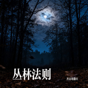 丛林法则