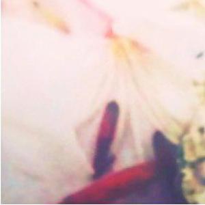 ՀիսուսԲյուրեղԼույսՎարդՊորտալ