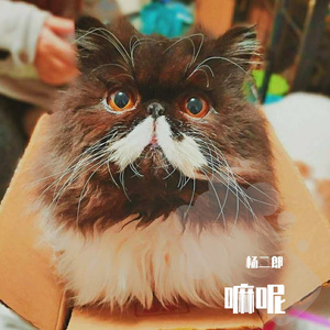 欢乐的仿写