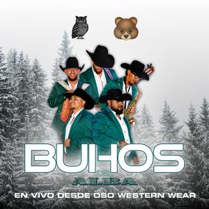 Buscaré (En Vivo)