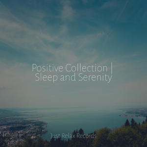 Echoes Amidst the Pines