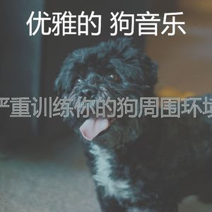 微妙的小狗心情