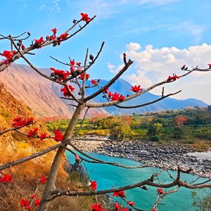 如果思念有声音