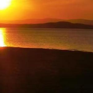 未来缝在心海中