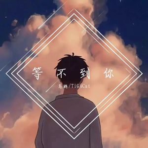 等不到你（真诚是我对你最大的respect）