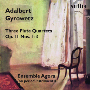 Flötenquartett No. 2 in G-Dur, Op. 11: Allegro Moderato