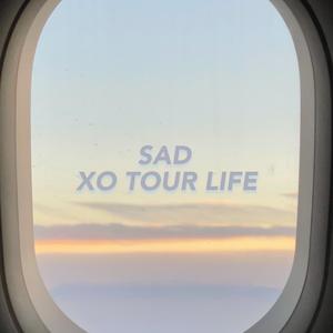 SAD&XO TOUR LIFE（翻自 Kid Travis）