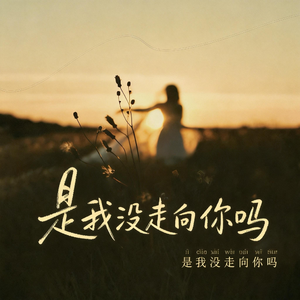 是我没走向你吗