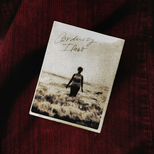 ¿Qué Vas a Hacer Cuando Nadie Te Salve?