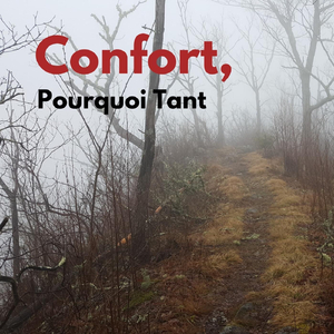 Pourquoi Tant