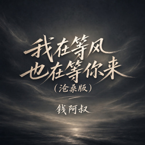 我在等风也在等你来(沧桑版)