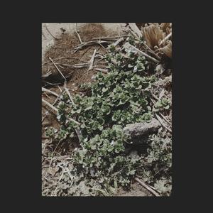 1.过去后遗症prod by Cario