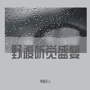 野渡听觉盛宴 (7)