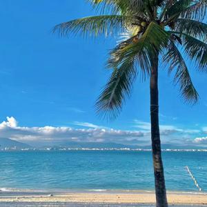 哇扣哇扣 (迈腾进行曲)