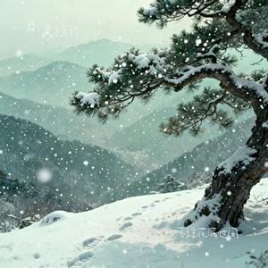 吹落琼花满世间