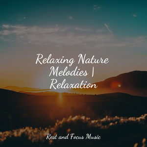 Lessons from the Cosmos