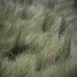 I Don't Feel Like Me (feat. Gipsy)