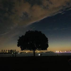 绝迹（prod by WayMen歪门）