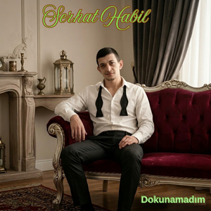 Dokunamadım