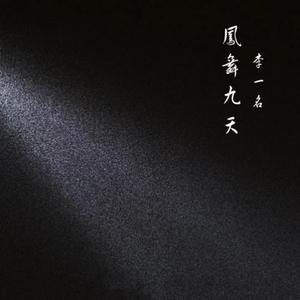 凤舞九天（蹦迪开场嗨曲）（Remix）