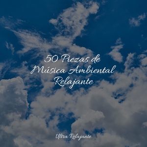 Noche De Invierno Nevada