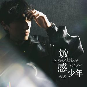 敏感少年