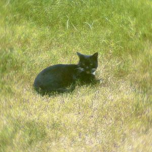 每当暴雨(prod undislove)