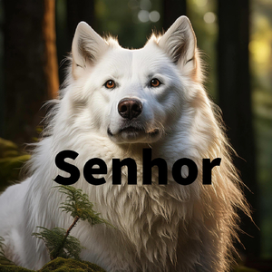 Senhor