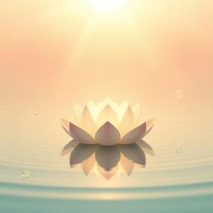 Let Go and Rise