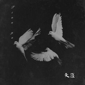 天涯