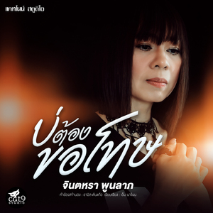 บ่ต้องขอโทษ