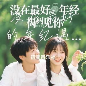 没在最好的年纪遇见你 (Cover 烟嗓超哥)
