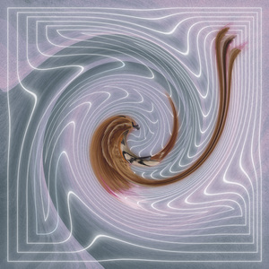 Rompeviento Fristodonte