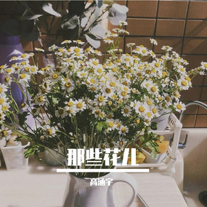 高涵宇 - 那些花儿