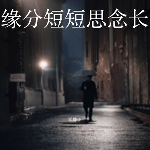 缘分短短思念长