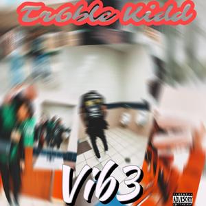 Vib3