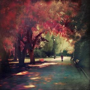 聽說風來的方向會有你的身影