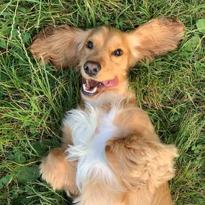 微风与我（ProdEVOMUSIC）