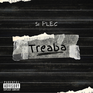 Treaba Si Plec