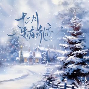 十二月没有奇迹
