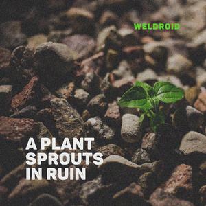 A Plant Sprouts in Ruin