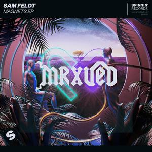 Sam Feldt-Post Malone(MrxUED Bootleg)（MrxUED Remix）