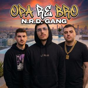 Opa re BRO (Οπα ρε Μπρο)