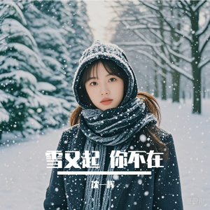 雪又起 你不在