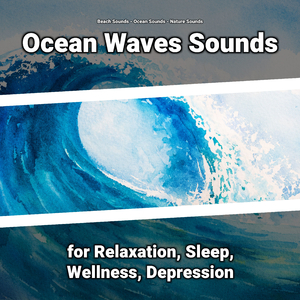 Ocean Sounds to Calm Down