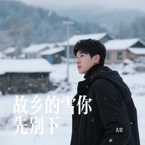 故乡的雪你先别下