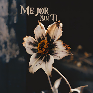 MEJOR SIN TI