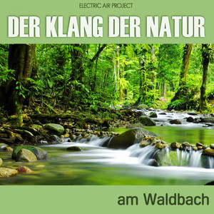 Der Klang der Natur - Am Waldbach