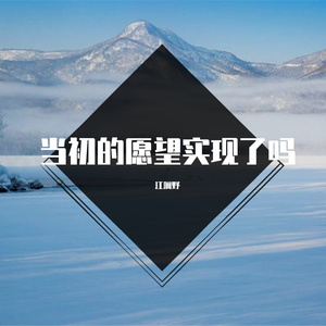 当初的愿望实现了吗